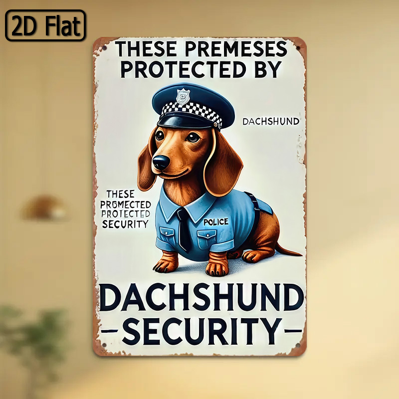 Home Security Usa - 2D Flat, [2D Flat] 1-Piece Fun