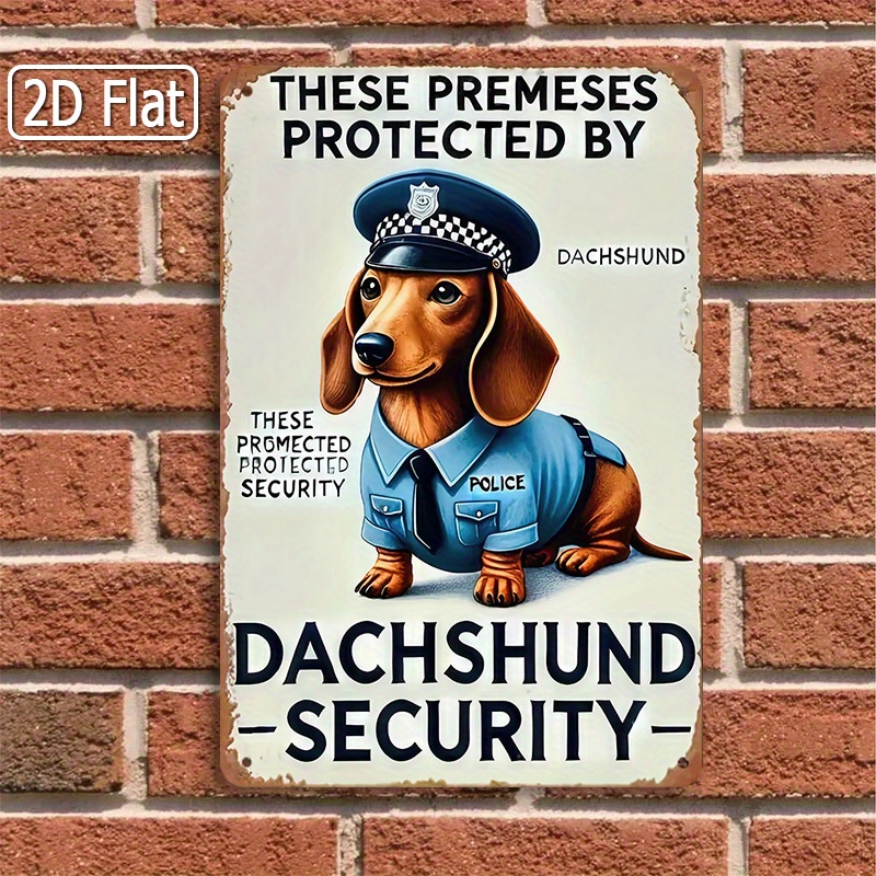2D Flat, [2D Flat] 1-Piece Fun - Home Security Usa ulasan dan harga