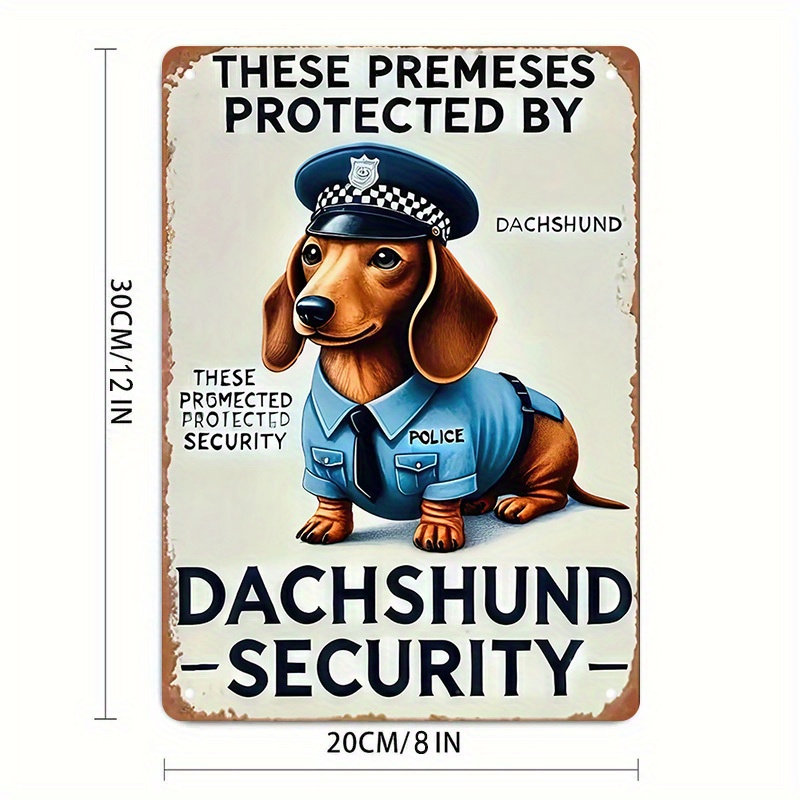 2D Flat, [2D Flat] 1-Piece Fun - Home Security Usa ulasan dan harga