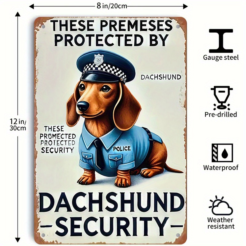 2D Flat, [2D Flat] 1-Piece Fun - Home Security Usa ulasan dan harga