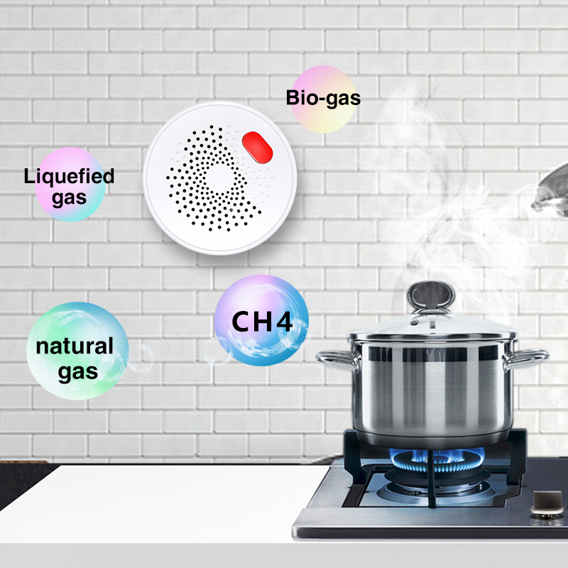 Tuya Smart Home Wifi Natural G - Home Security Device ulasan dan harga